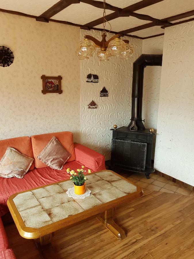 Ferienwohnung Napierski Willingen  Exteriér fotografie