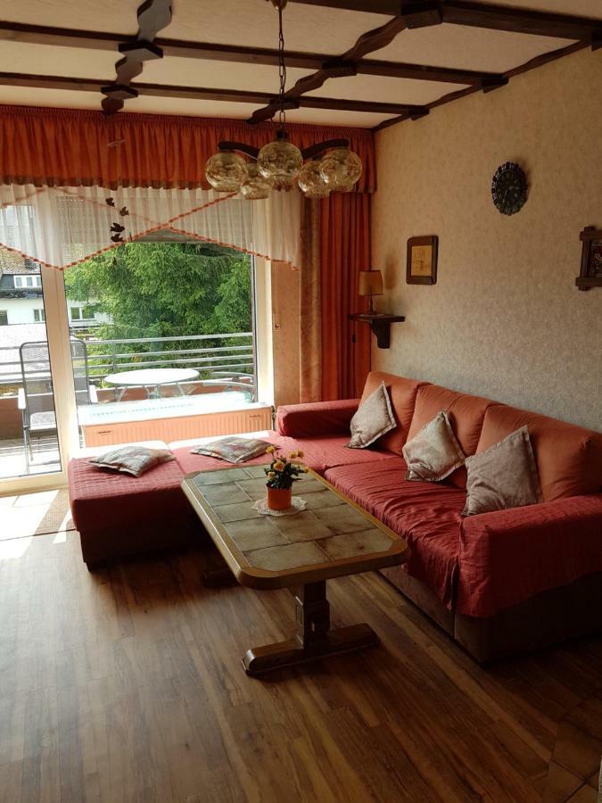 Ferienwohnung Napierski Willingen  Exteriér fotografie